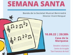 cartel concierto solidario